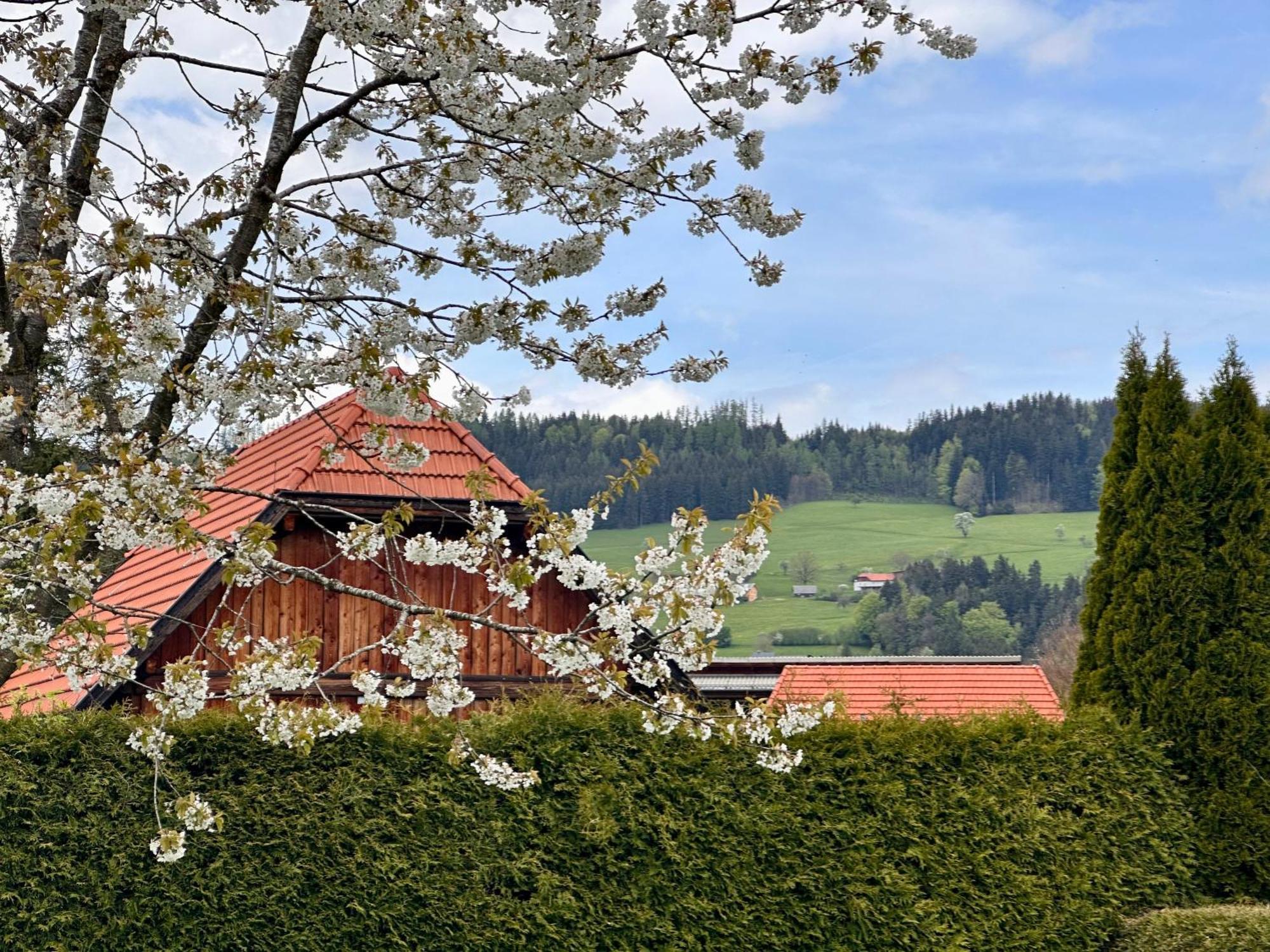 Romantic Chalet - Alpine Getaway Salzkammergut Viechtwang Exterior foto